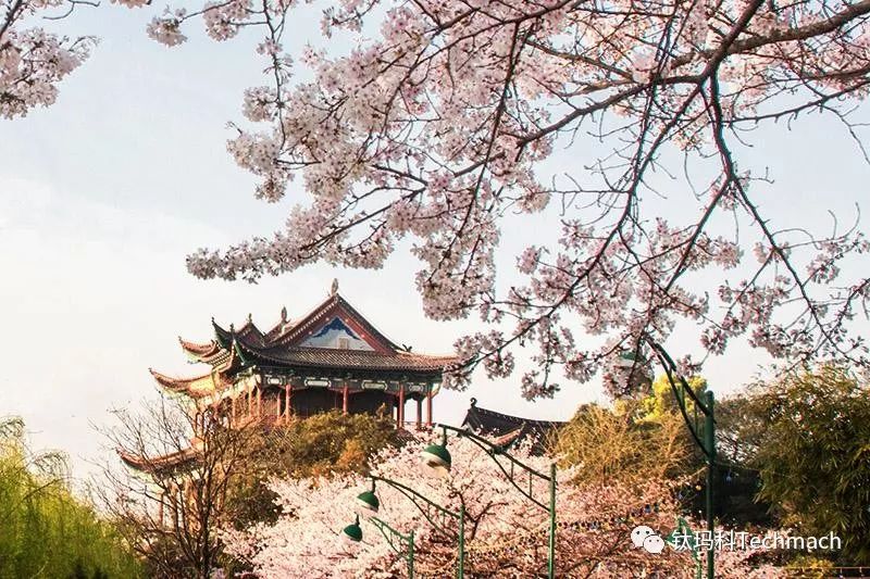 【鈦·想約 】 4月17日武漢CIDPEX2019"紙"引行業(yè)"衛"來(lái)